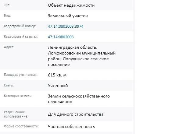 Скрин ЕГРН Онлайн