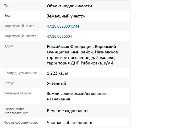 Скрин ЕГРН Онлайн